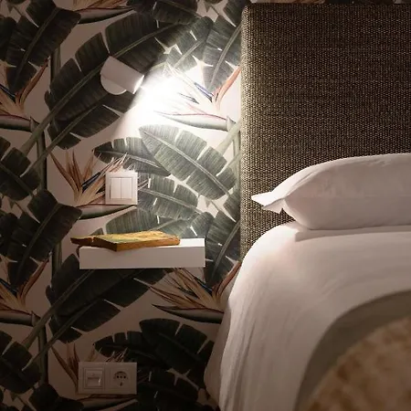 Strelitzia Apartment, By Bolhao Residences * Oporto