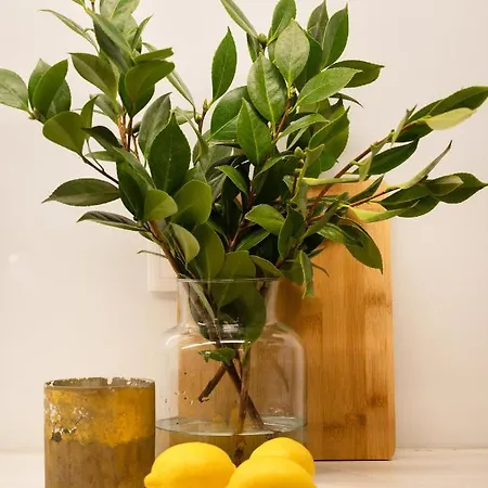 Apartment Strelitzia Apartment, By Bolhao Residences Porto